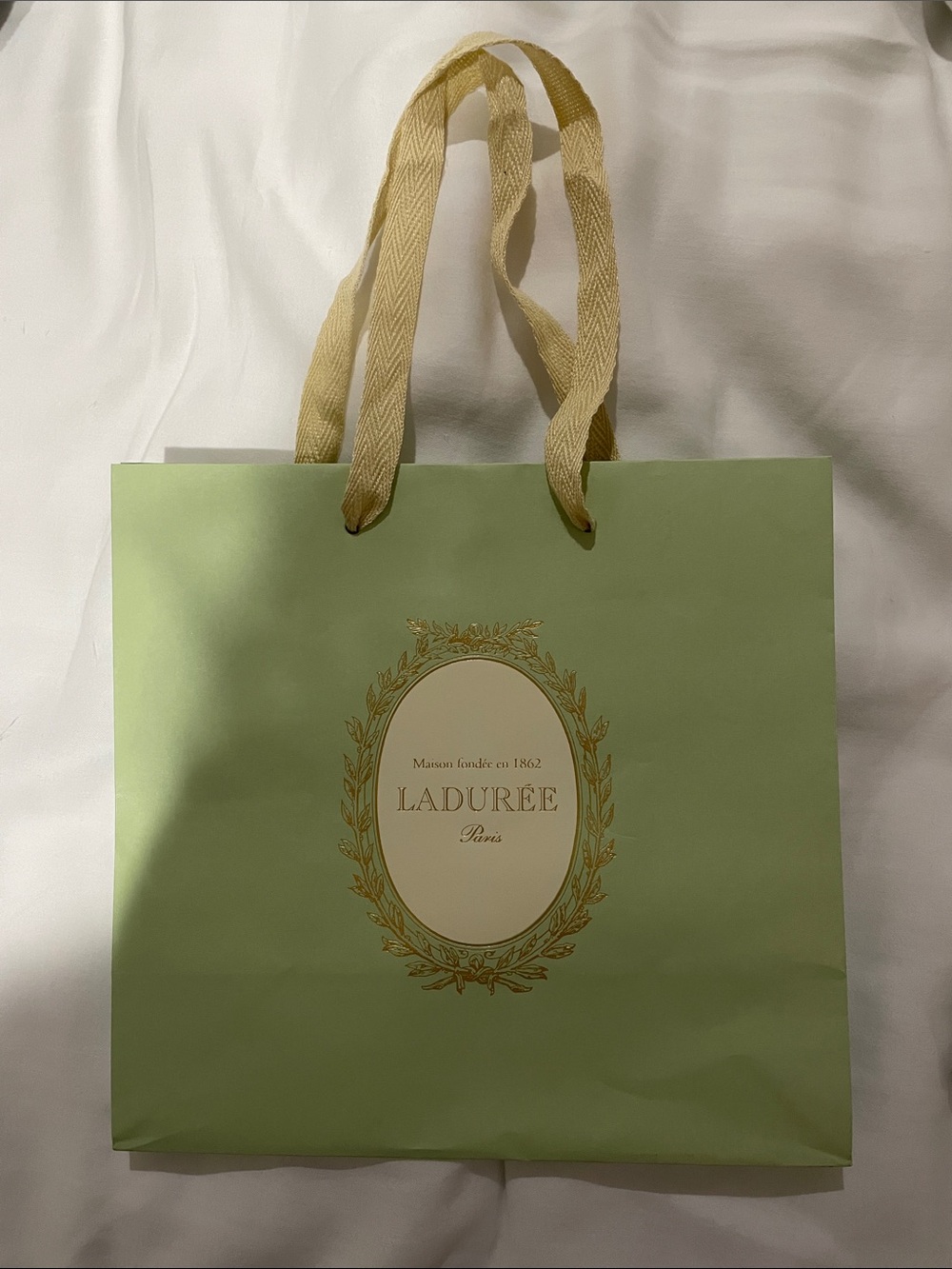 Pale Green Gift Bag with Cream Handles